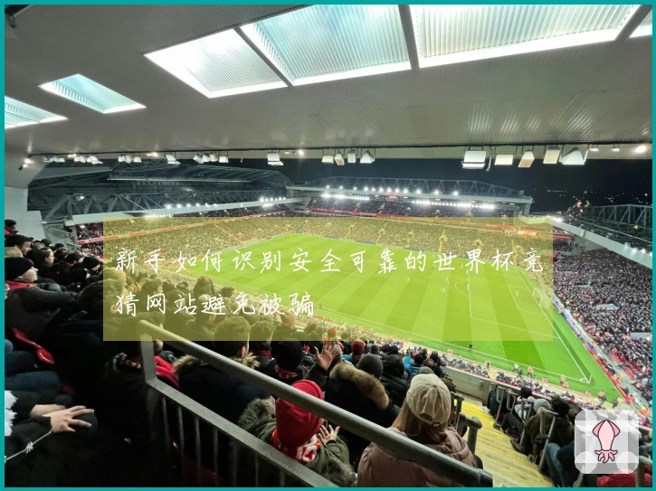 新手如何识别安全可靠的世界杯竞猜网站避免被骗