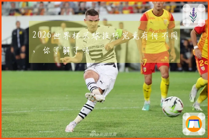2026世界杯买球技巧究竟有何不同，你了解了吗