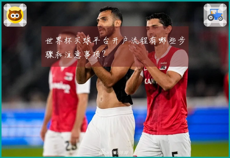世界杯买球平台开户流程有哪些步骤和注意事项？