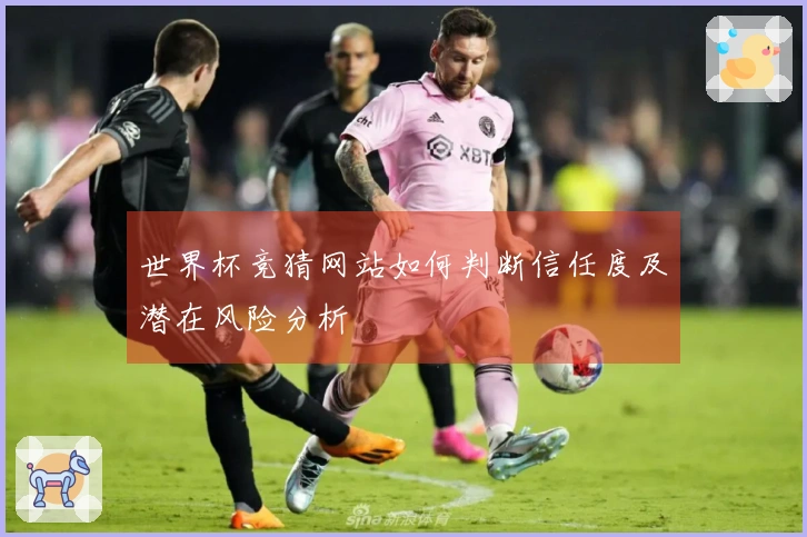 世界杯竞猜网站如何判断信任度及潜在风险分析